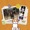 Roche kucing oren