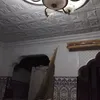 zakiamenino