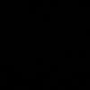 r6295931