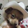 starie_u