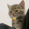 rimaza.mirwan