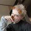 paul20356