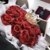 rachell0245