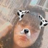 kristel_katy