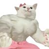 petlove0024