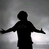 shwesin57527