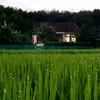Ban sai trinh