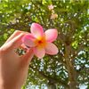epa.khanom