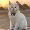 egy5865