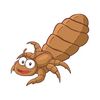 lice🕷🕷