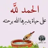 user339765598335
