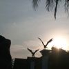 ajicakrakala123