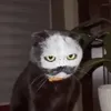michielkor