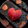 muneeb.zahid868