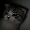 shiknumi_aintsimp