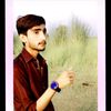 saifur.rahman5360