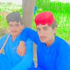 sewa2266