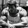 yacogym.7