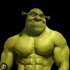 Daily memes USA