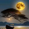 saad.waily