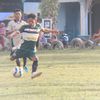 andi.saputra7037