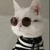 gatico_324