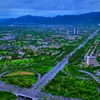 samiull049
