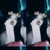 zalfa.azzahra27