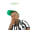 raymondrobert5871