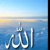 user75347207276826