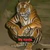 jaciarajes