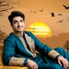 zohaib.hassan6035