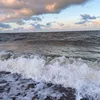 lily_44353
