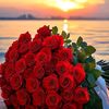 camelia.monica1