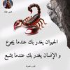 user9699807806868