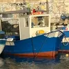 pescaturismooursea
