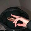 twteees____yousef
