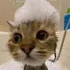 gulikos0_o