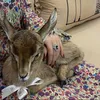 marwa.qais5