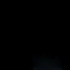 vick_slv3