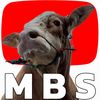 MasBjahSapi