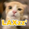 piki_201218