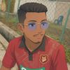 lingges_lr7