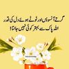madem.shanzay.khan