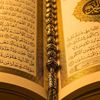 mohamd5711