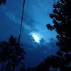 sanectt_44