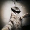 un_grr3