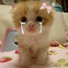 mzraiiee_13