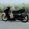 vet231024