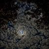 hxc_6ch